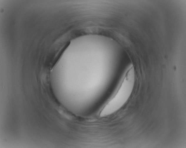 X0000077360233200611101647