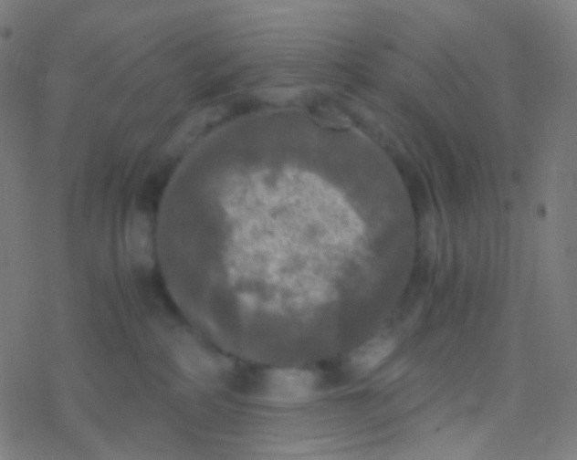 X0000077360234200611101647