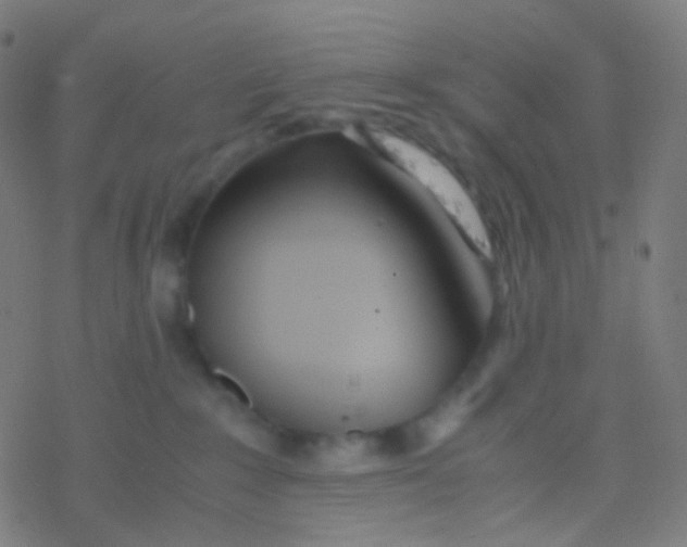 X0000077360235200611101647