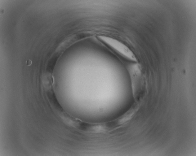 X0000077360237200611101647