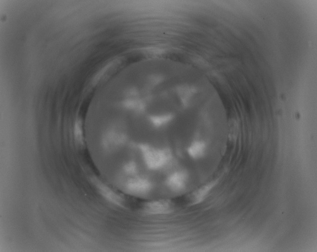 X0000077360238200611101647