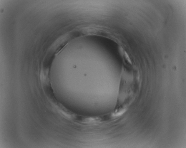 X0000077360239200611101647