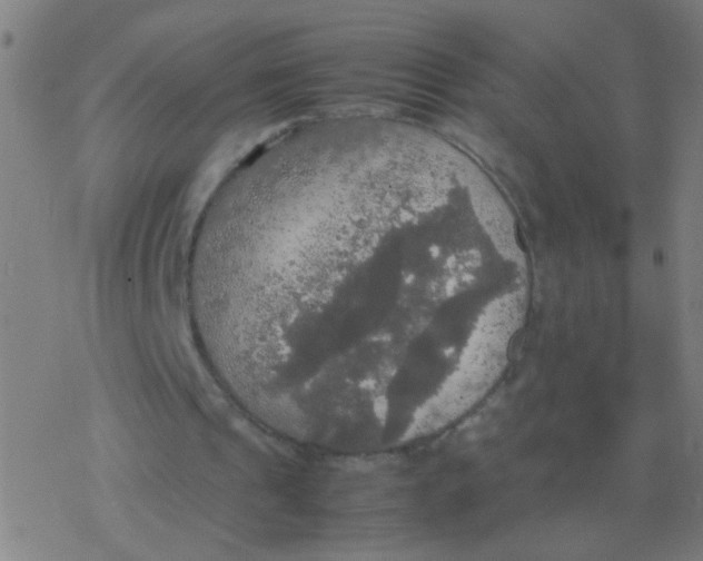 X0000077360241200611101646