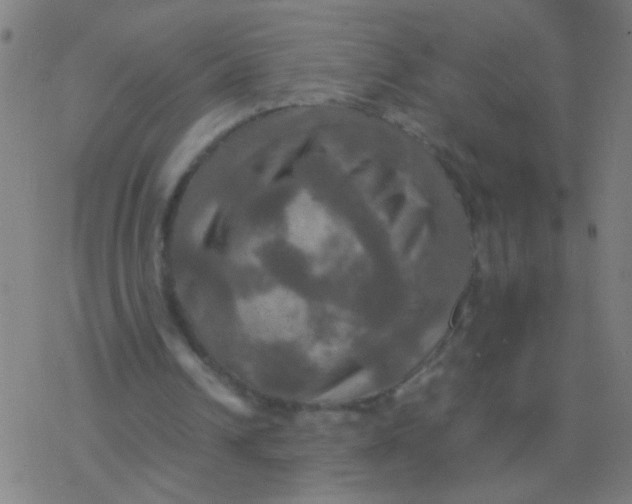 X0000077360242200611101646