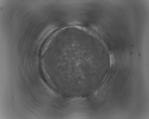 X0000077360243200611101646