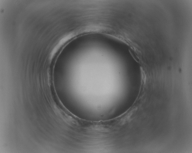 X0000077360244200611101646