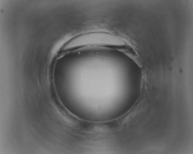 X0000077360248200611101646