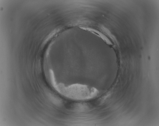 X0000077360250200611101646