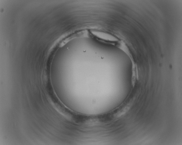 X0000077360252200611101646