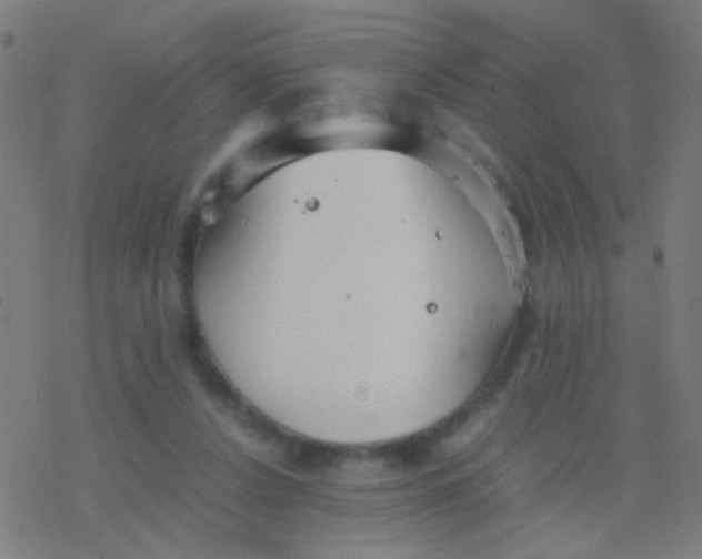 X0000077360256200611101646