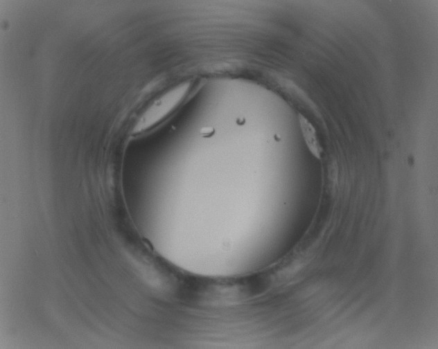 X0000077360260200611101646