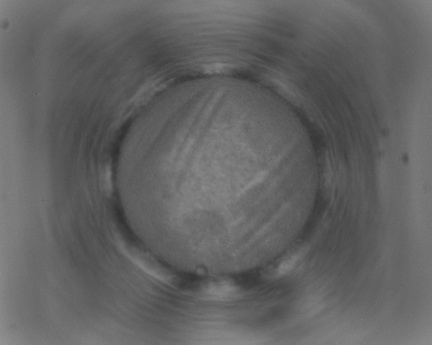 X0000077360262200611101646