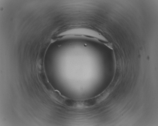 X0000077360264200611101646