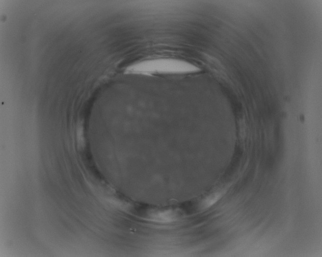 X0000077360267200611101646