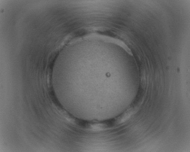 X0000077360268200611101646