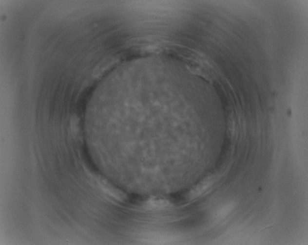 X0000077360270200611101646