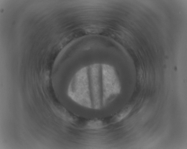 X0000077360271200611101646