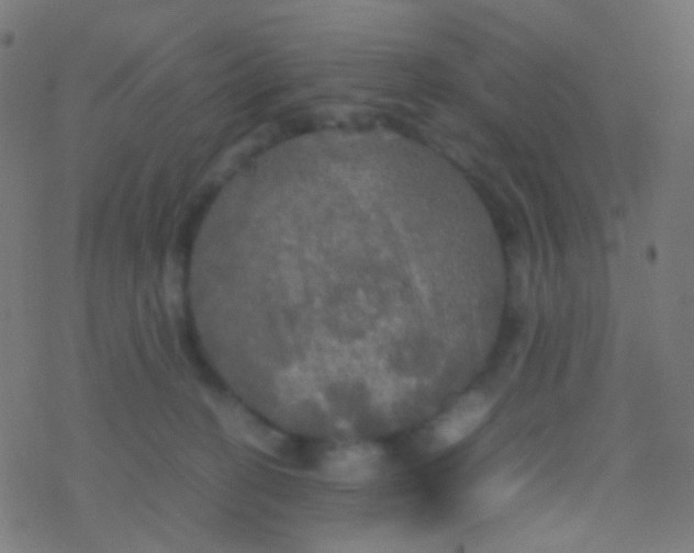 X0000077360274200611101646