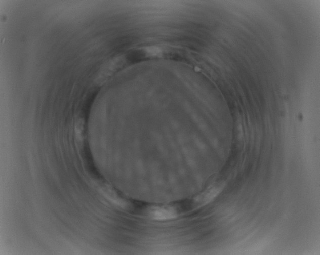 X0000077360275200611101646