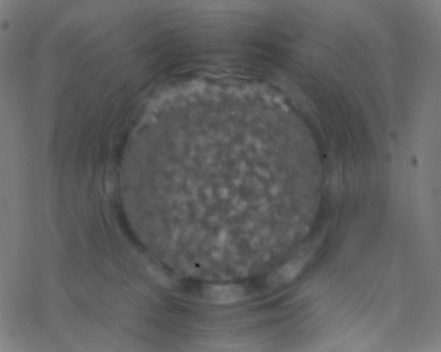 X0000077360277200611101647