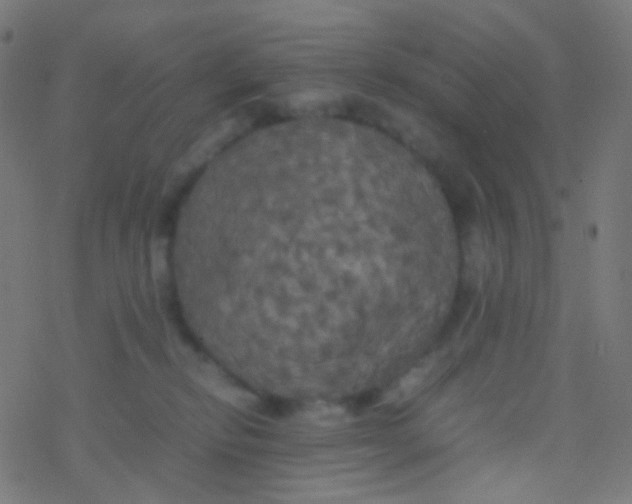 X0000077360278200611101647