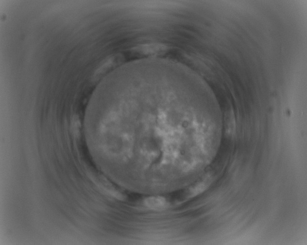 X0000077360279200611101647