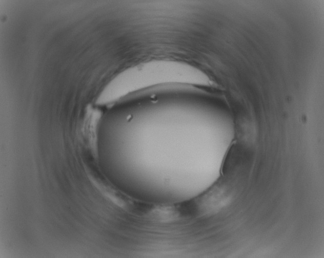 X0000077360280200611101647