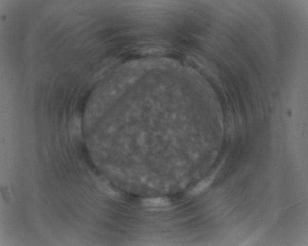 X0000077360281200611101647