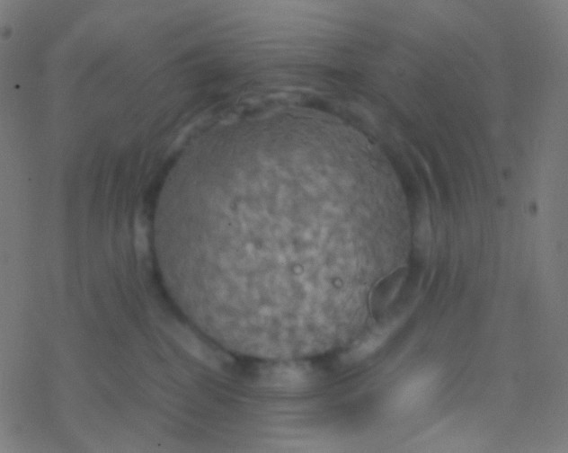 X0000077360282200611101647