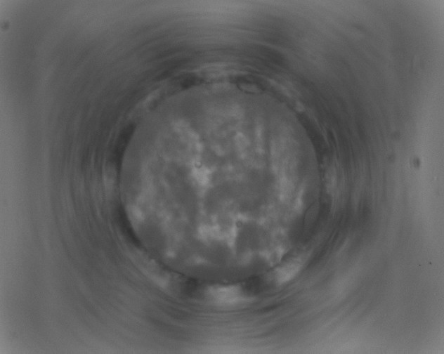 X0000077360283200611101647