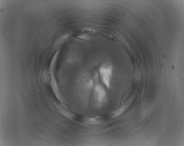 X0000077360285200611101647