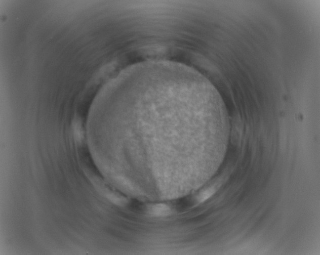 X0000077360287200611101647