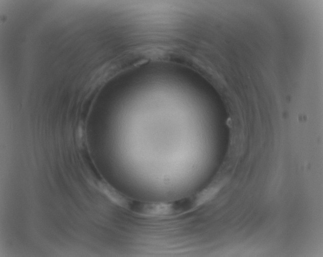 X0000077360288200611101647