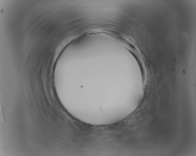 X0000077360289200611101646