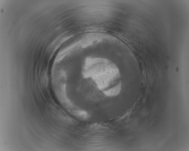 X0000077360290200611101646