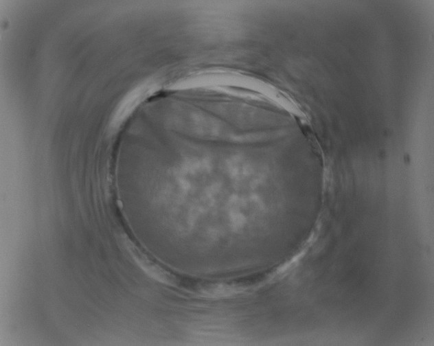 X0000077360293200611101646