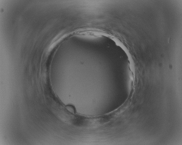 X0000077360295200611101646