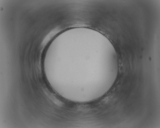 X0000077360296200611101646