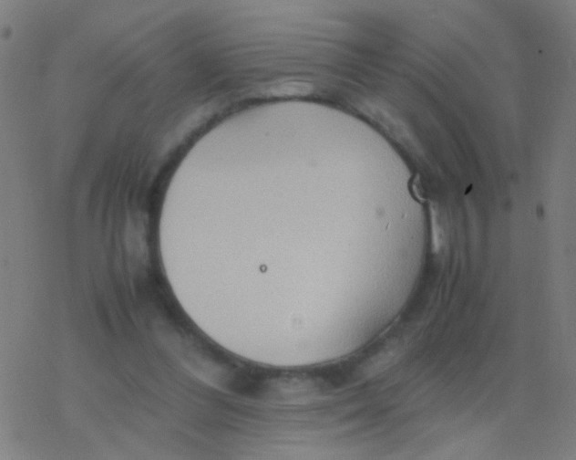 X0000077360300200611101646