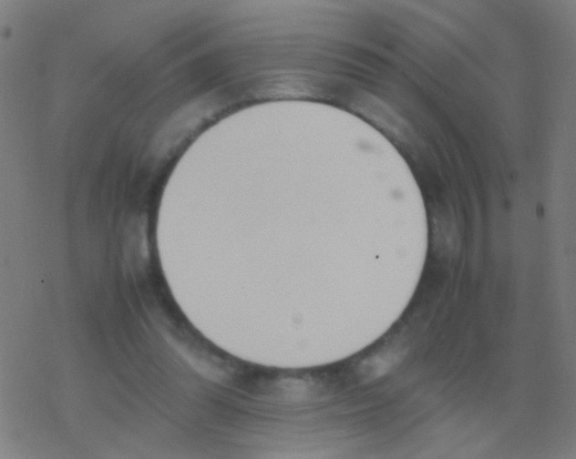 X0000077360302200611101646