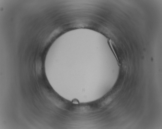 X0000077360304200611101646