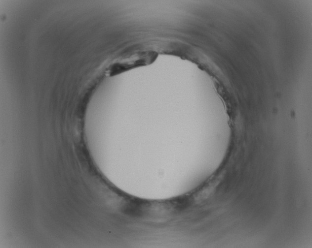 X0000077360305200611101646