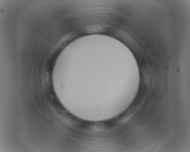 X0000077360308200611101646