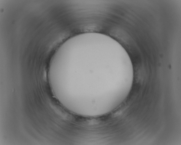 X0000077360310200611101646