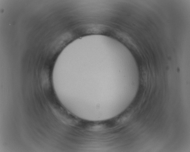 X0000077360312200611101646