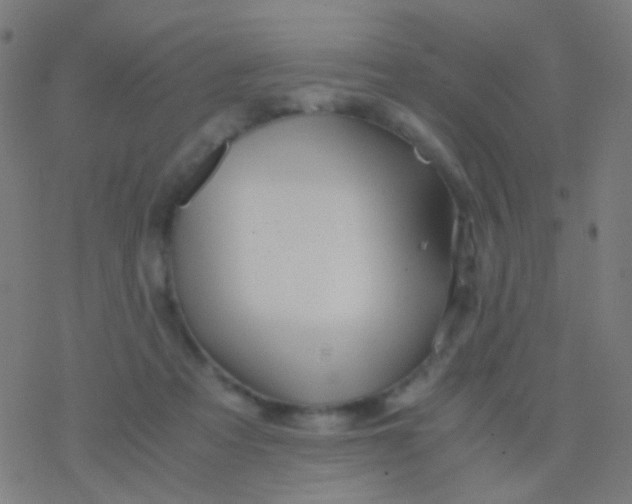 X0000077360313200611101646