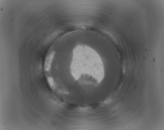 X0000077360314200611101646