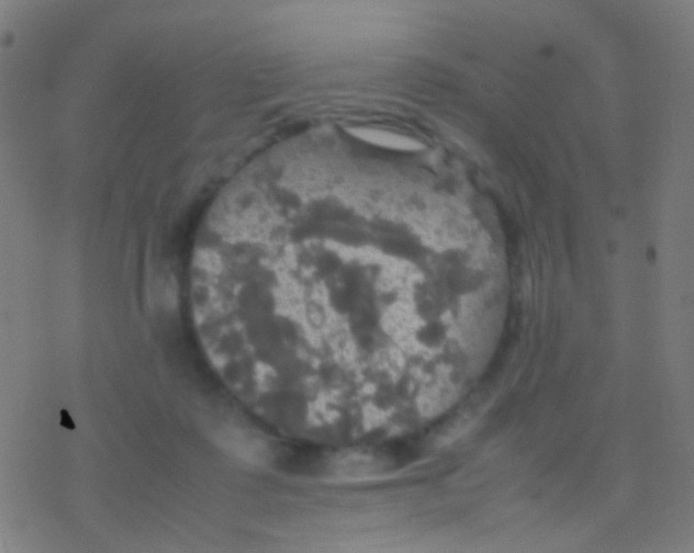 X0000077360315200611101646