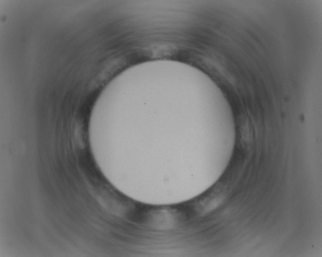 X0000077360316200611101645