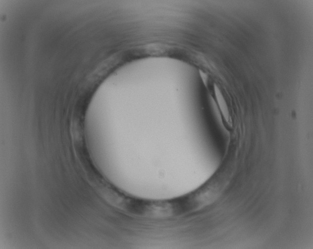 X0000077360317200611101645